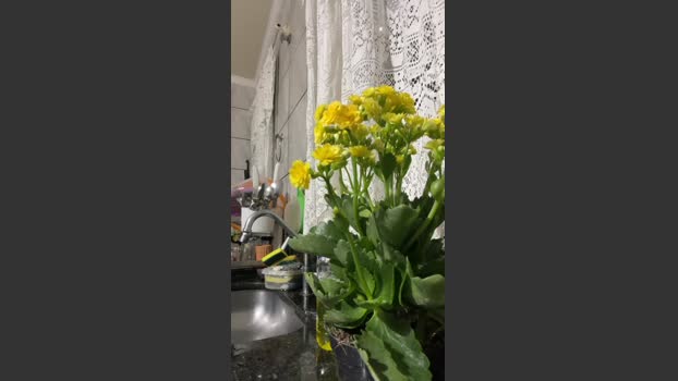 blueeyesmart 06-12-2025 Recorded Video harddick
