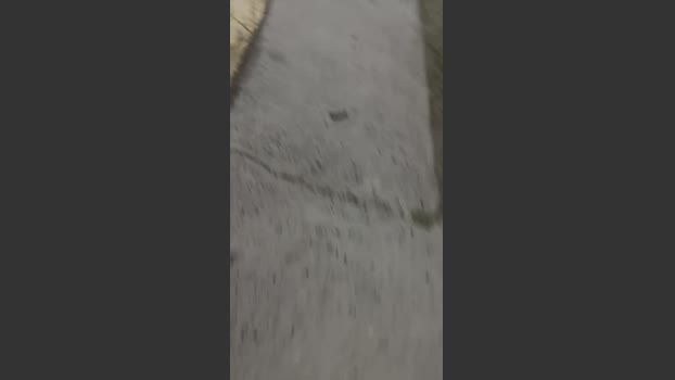Laoquedad 07-12-2025 Recorded Video oral