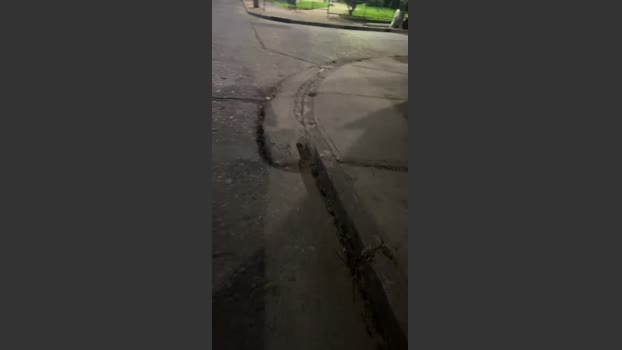 Zayx 07-12-2025 Recorded Video bigtoys