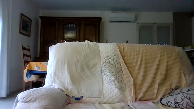cybear 07-12-2025 Recorded Video suck