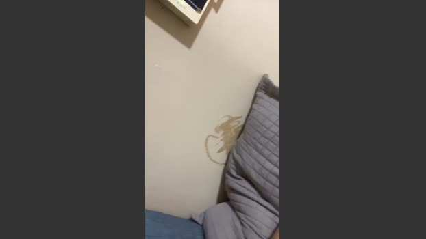 garoto19sex 07-12-2025 Recorded Video Nude