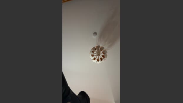 Badboy4200 08-12-2025 Recorded Video bigass