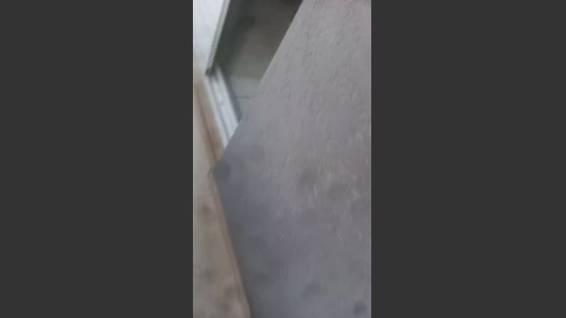 MlkPentelhud0 07-12-2025 Recorded Video kink