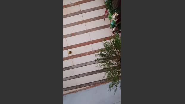victor62Go 08-12-2025 Recorded Video yummy