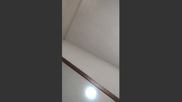 Fenix00000 08-12-2025 Recorded Video cute