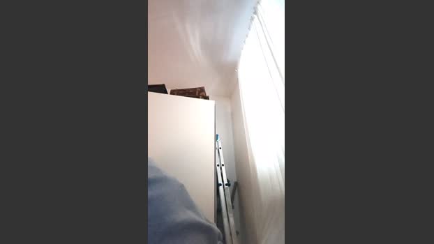 italianbros4 09-12-2025 Recorded Video toy