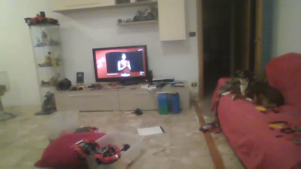 zena_xxx 09-12-2025 Recorded Video gay