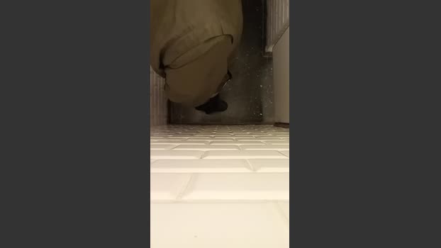 Asasass 10-12-2025 Recorded Video fuckass