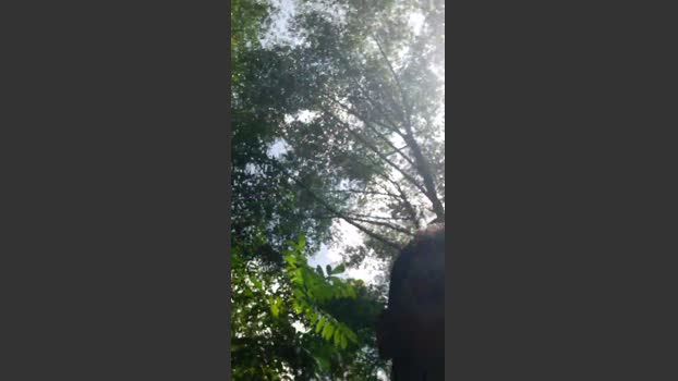 Guto6000 10-12-2025 Recorded Video fuck