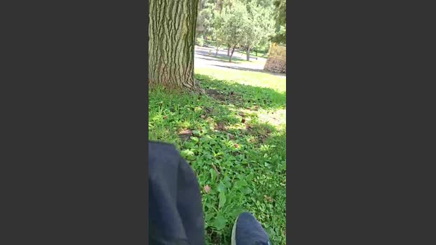 francisco1862 09-12-2025 Recorded Video toy