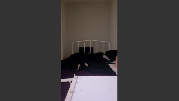 Chavbear 11-12-2025 Recorded Video suck