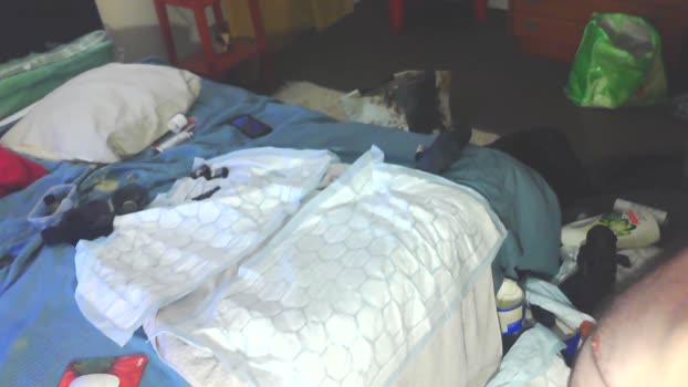 MeunierLubrique 10-12-2025 Recorded Video sexymale