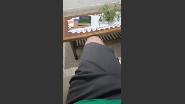 Palmares 11-12-2025 Recorded Video toys