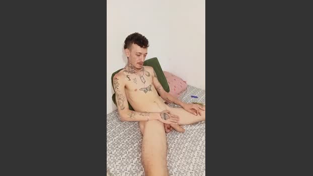 RuivoDotado24cm 10-12-2025 Recorded Video analtoy