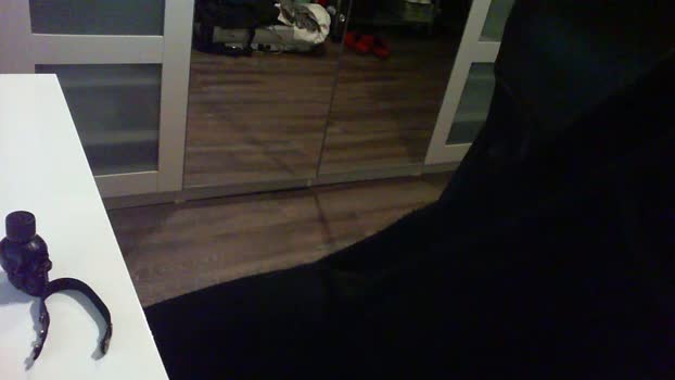 Scofield_HH 10-12-2025 Recorded Video kink