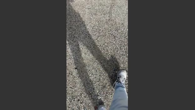 Setubal201 11-12-2025 Recorded Video lovense