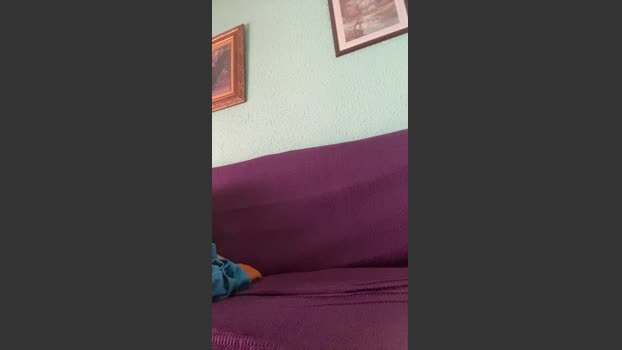 frantri00 11-12-2025 Recorded Video fuckhard