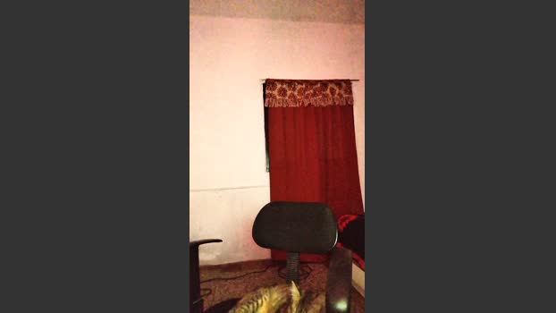 sableye21 11-12-2025 Recorded Video striptease