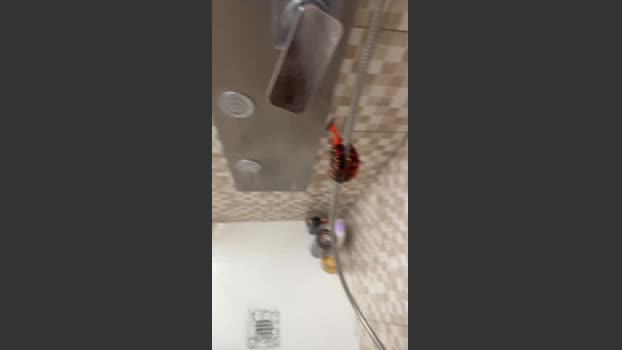 tantavoglia41 11-12-2025 Recorded Video bigcock