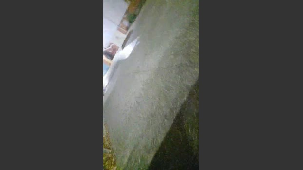 CDY74 11-12-2025 Recorded Video ass