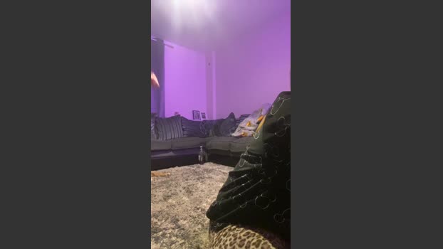 Weejack 11-12-2025 Recorded Video Webcam