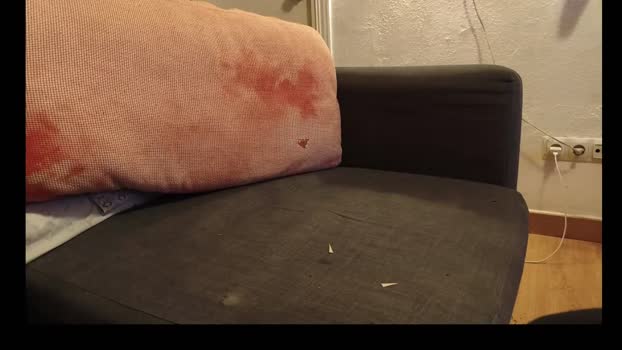 construk 12-12-2025 Recorded Video lovense