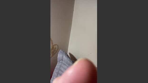 Bahia196 13-12-2025 Recorded Video moan