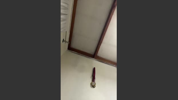Ignatwink 13-12-2025 Recorded Video ass
