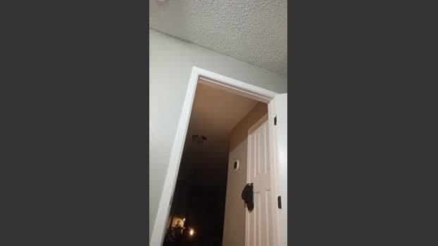 Littleguy25 13-12-2025 Recorded Video lovense