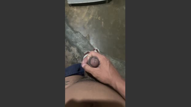Pau_preto00 13-12-2025 Recorded Video lick