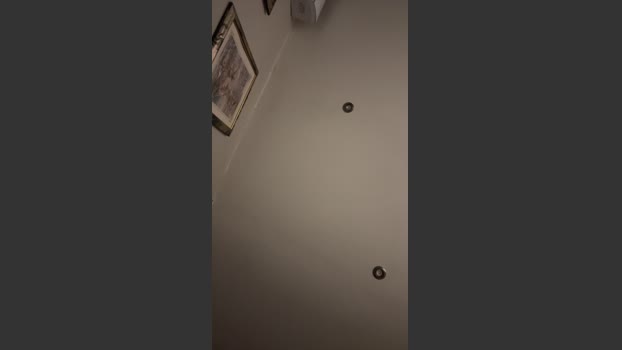 Silvzrhaaze 12-12-2025 Recorded Video gay