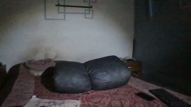 TANO_SHOWSXX 13-12-2025 Recorded Video analtoy