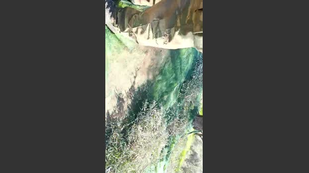 Top_man 13-12-2025 Recorded Video fuckass