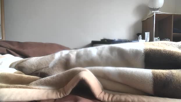 panpee1 13-12-2025 Recorded Video lush
