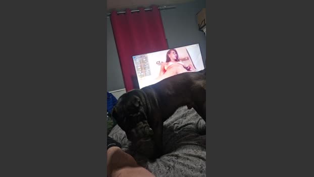 Ismael993 14-12-2025 Recorded Video fuckface