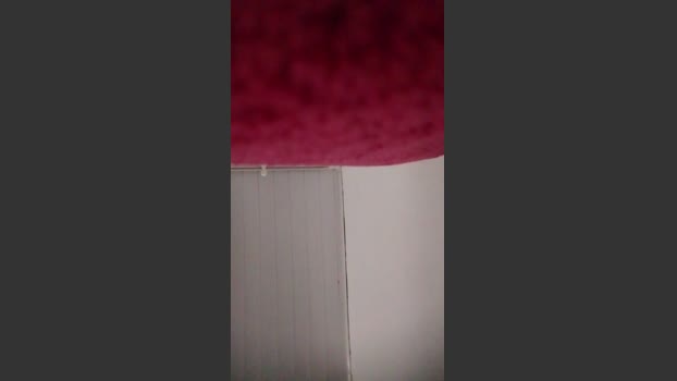 SDOlyver 14-12-2025 Recorded Video ass