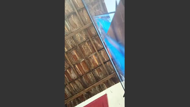zepica7 13-12-2025 Recorded Video play