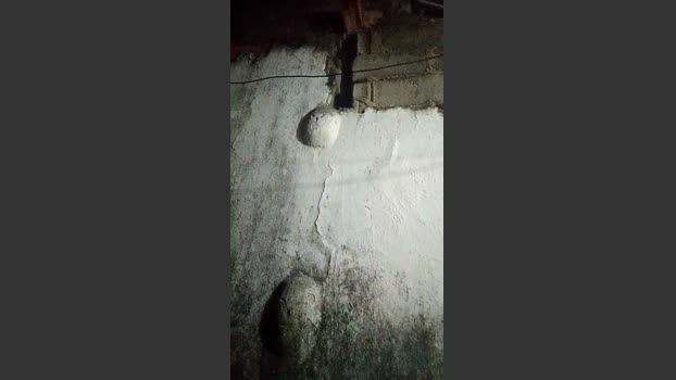 zepica7 14-12-2025 Recorded Video bigballs