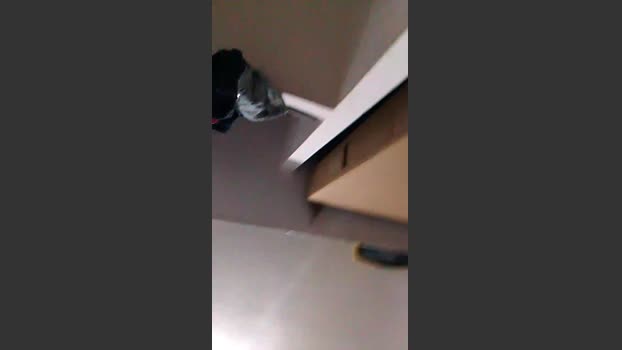 Boyhunt1 15-12-2025 Recorded Video hard