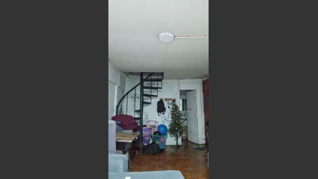 Eliasfabianc 15-12-2025 Recorded Video moan