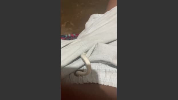 Pau_preto00 15-12-2025 Recorded Video cute
