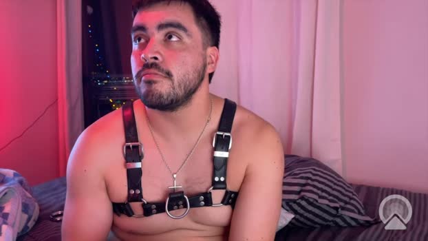 RawAlphaPups 15-12-2025 Recorded Video XXX