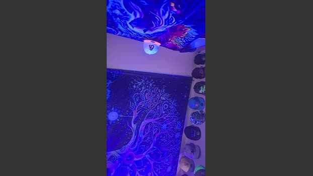 Sullivanandmore 15-12-2025 Recorded Video big