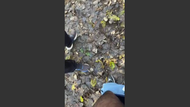 porcobg18 15-12-2025 Recorded Video deep