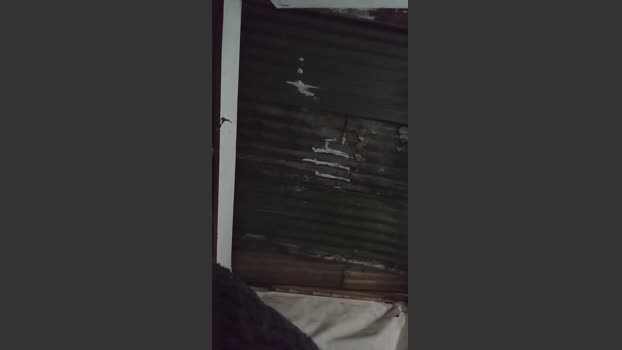 rodrigo3878 15-12-2025 Recorded Video bigballs