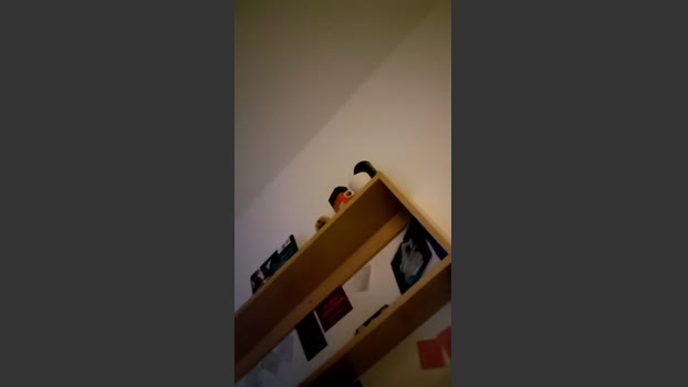 DonDonniNS 16-12-2025 Recorded Video kissing