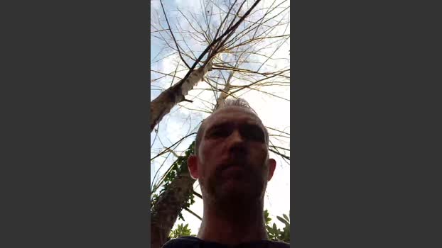 Trolls37 16-12-2025 Recorded Video Video