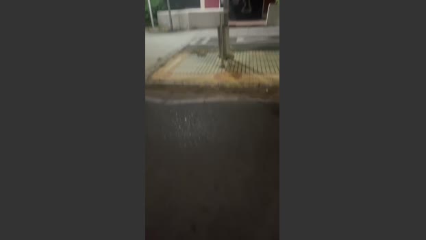 Zayx 16-12-2025 Recorded Video harddick