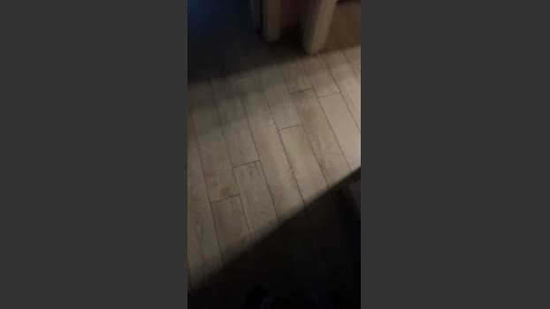pessapa 16-12-2025 Recorded Video fuckme