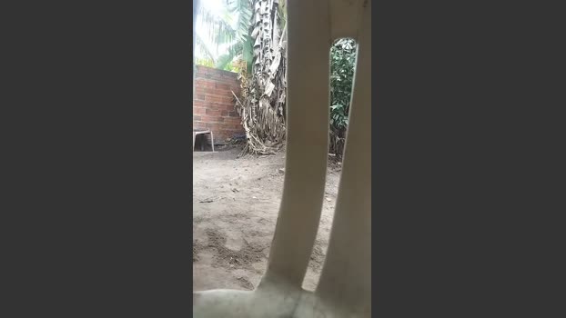 Alisonjuenendun 16-12-2025 Recorded Video show